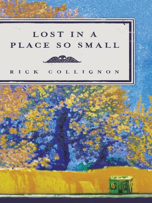 cover image of Lost in a Place So Small